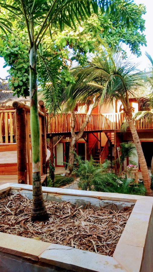 Hurricane Jeri Gardens Жижока ди Жерикоакоара Екстериор снимка